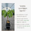 고른컨설팅