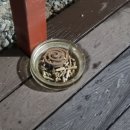 솔숲하우스 이미지