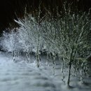 사곡1리 이미지