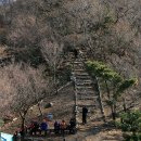 영도 봉래산(395m), 2송도해변가- 오매가코스 번개 이미지