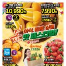롯데슈퍼 네이버블로그
