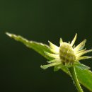 이화원(온실) 이미지