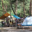 리버힐즈 캠핑장(푸른농원) 이미지