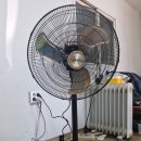 이프멍멍 이미지