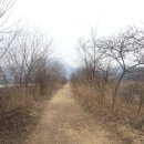 버드나루로 이미지