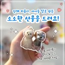 (주)스타몽 네이버블로그