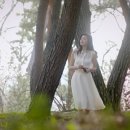 솔잎향기 이미지