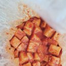 우리집 | 초등 아이가 반한 아삭아삭 깍두기, 해천우리집김치 후기