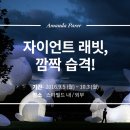 래빗스타