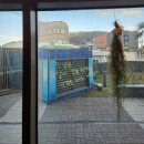 리치유 휘트니스 | 제주 성산헬스 '리치유 휘트니스' 후기