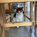 더하우스113(The house 113) 이미지