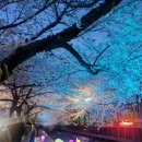 여좌천거리 이미지