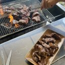 [경기도] 서울 근교 애견 캠핑장 “사노리숲” 후기