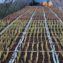 강선목장 이미지