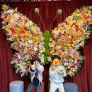 엑스포 | 2025년 경남 고성 공룡 세계 엑스포 후기