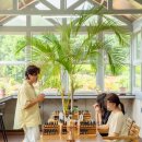 조향 블랜딩 이미지