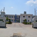 점곡초등학교 병설유치원 티스토리