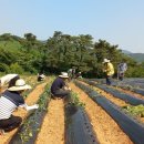 정읍시청 이미지