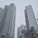 분당-366 이미지