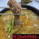 보성웰빙식당 네이버블로그