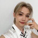 코쿤캅 네이버블로그
