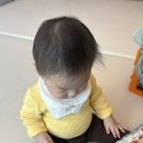 41190-01-07-219 | ⁵¹ 드디오 떡뻥 냠 (216-220)