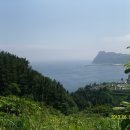 나리관광펜션 이미지