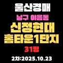 현대신정공인중개사사무소 | 야음동 신정현대홈타운1단지 31평 울산 남구 아파트 경매 2차물건 핵심정보 분석