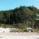 사임당로공원 이미지