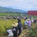 광의농장 이미지