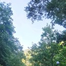 방태천민박 이미지