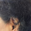 태백빌딩 앞 이미지