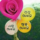 체체게하우스
