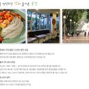 국수나무? 이미지