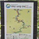 진보배식당 | 가야산 소리길 트레킹, 자연의 소리를 들으며 마음에 소리를 듣는다