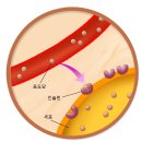 창명한의원 이미지