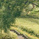 새서울이발소 이미지