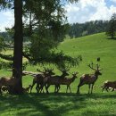 병인한의원 이미지