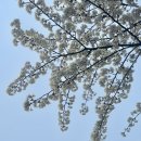 왈왈스테이 | 평화로운 - 경주 ver.