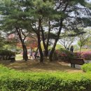 금릉초등학교 이미지