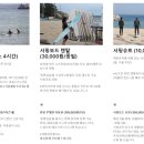렛미서프