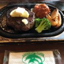 Nine RoD | 마틸다 영화 대본, 단어와 표현 공부, 영어 쉐도잉 2주차 후기