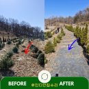 금송목장 이미지