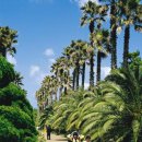 한림공원 이미지