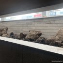 엑스포 한증막 이미지