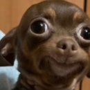 미팅 | W | 스튜디오 | 피프티스튜디오 | 사전미팅 후기