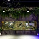 인천해양과학고등학교 | [우드티카 일상] 아쿠아리움이 있는 고등학교 ?! 인천해양과학 고등학교를 다녀왔어요 !