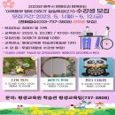 어깨동무 행복 더하기 일일특강(다육액자 만들기) 이미지