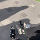 홍인펜션 이미지