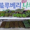 봉계농약사 이미지